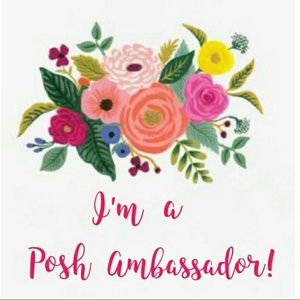I'm a Posh Ambassador! 🎉🎉🎉